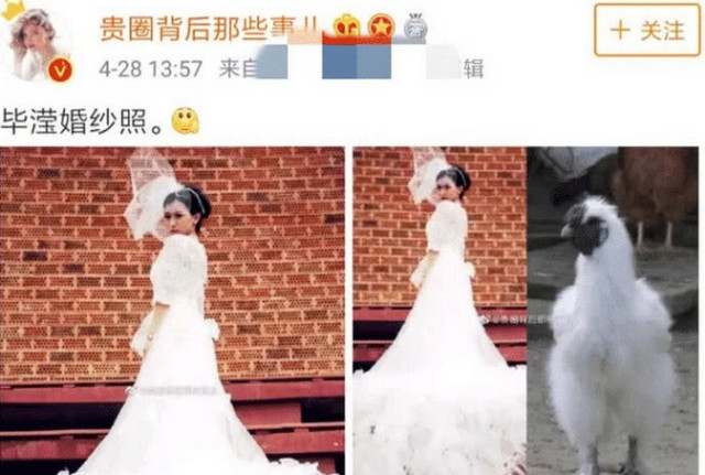 张丹峰婚纱照_洪欣张丹峰婚纱照(3)