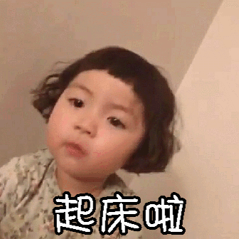 萌娃罗熙的表情包:你个大笨猪