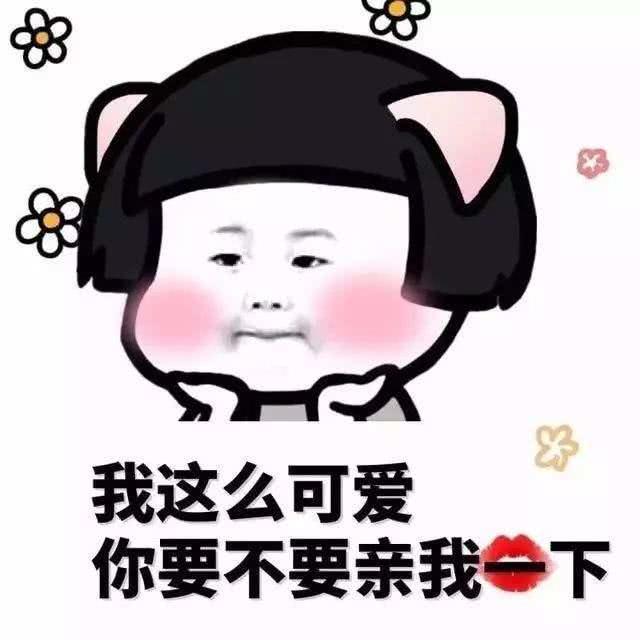 小奶狗突然不理你了?踢几张表情包过去,撩得ta爆炸!