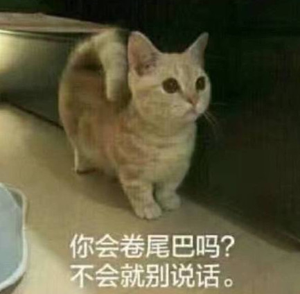 超皮的聊天表情:你讲话好冷漠,好像我不曾让你开心过