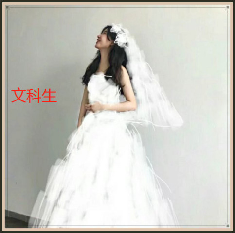 画出来的婚纱_婚纱情侣头像(3)