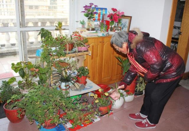 养花是奶奶一辈子的事业,热忱是她奋斗的动力,90岁不忘初衷