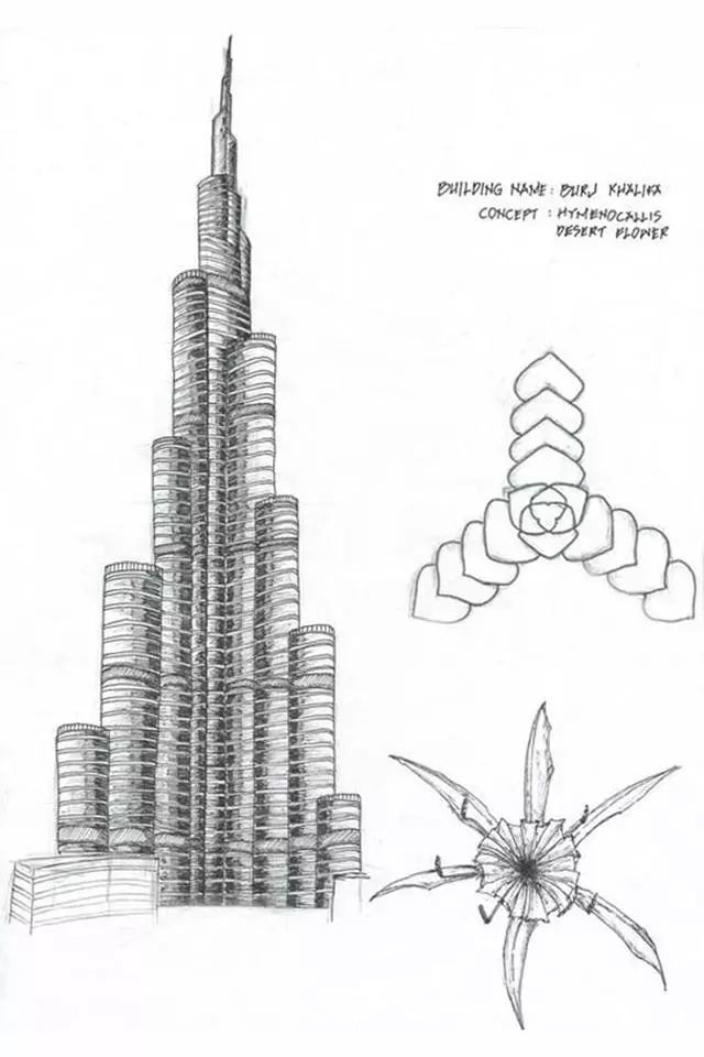 哈利法塔建筑草图及灵感来源