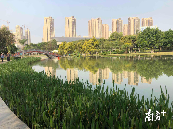 深圳坪山区经济总量增长示意_深圳坪山区