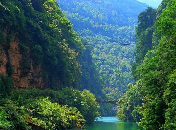 在芦山 有一种层林尽染,叫芦山大川河