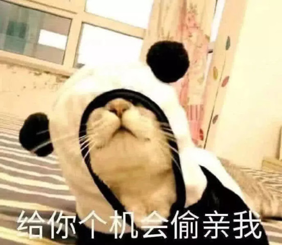 害羞说不出情话?赶紧抱走这一波"暗示性"极强的表情包!