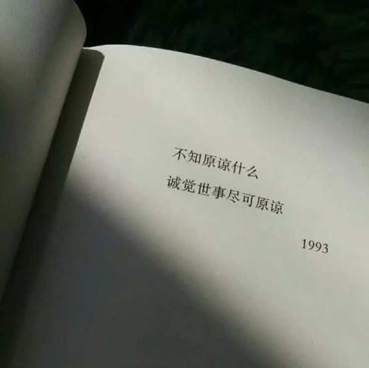 来自抖音的"扎心语录",秒杀你的坚强:下雨天连影子都会缺席