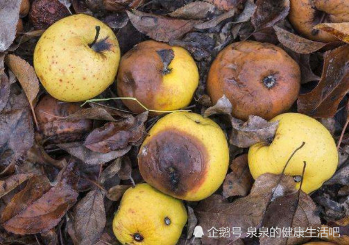 2,腐烂的水果