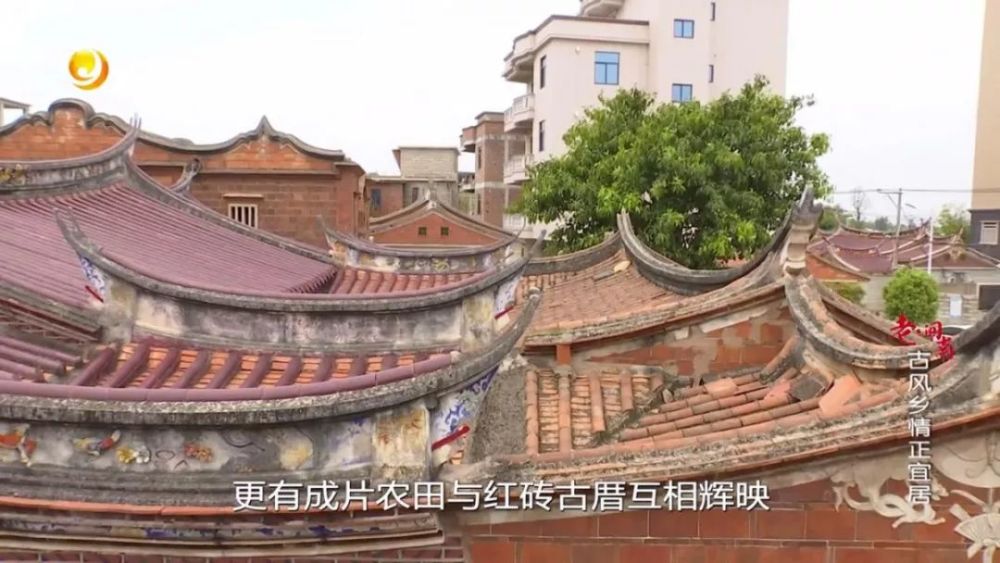 坐落于安海镇的东南部,这里生态环境优美,碧水青山环绕周边,更有成片