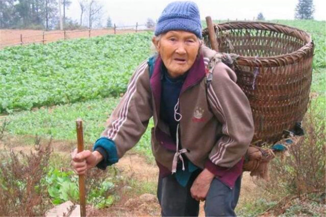 92岁的农村老人为什么还在种地干活呢?原因其实很简单!