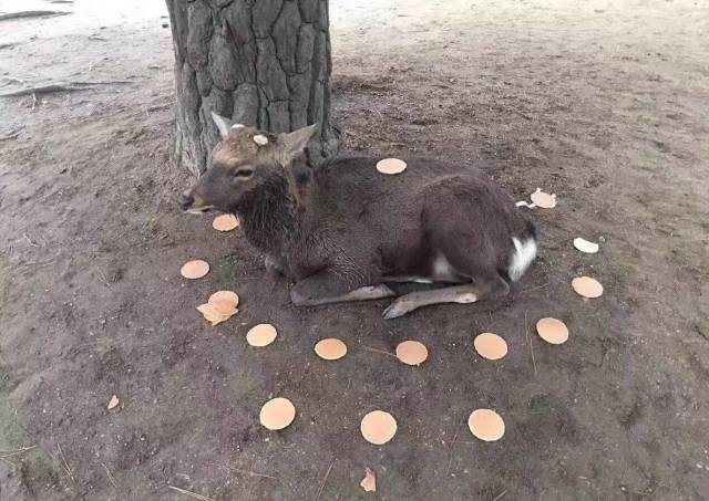 640