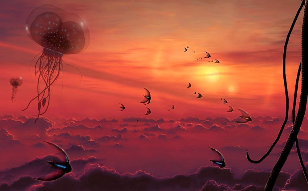 硅基、氨基、还是不同的手性，外星生命会是怎样的?