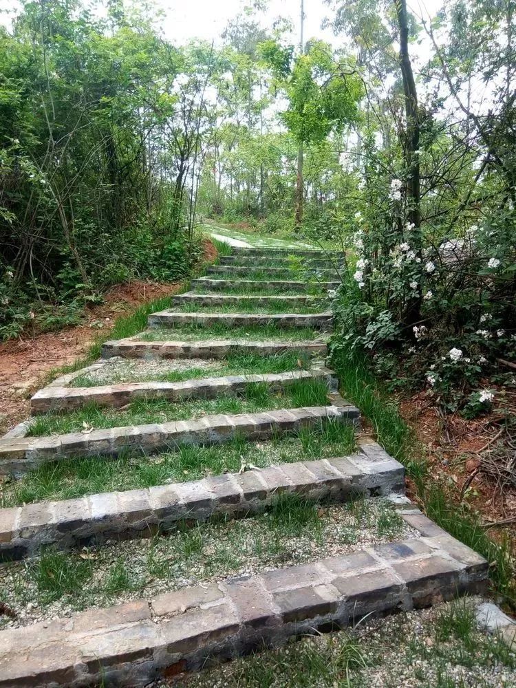 在崇州的健身步道,来一场说走就走的旅程