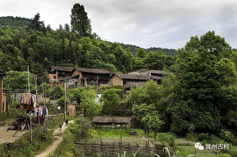 据《资溪县地名志》载:明初李氏从金溪结斜迁此.