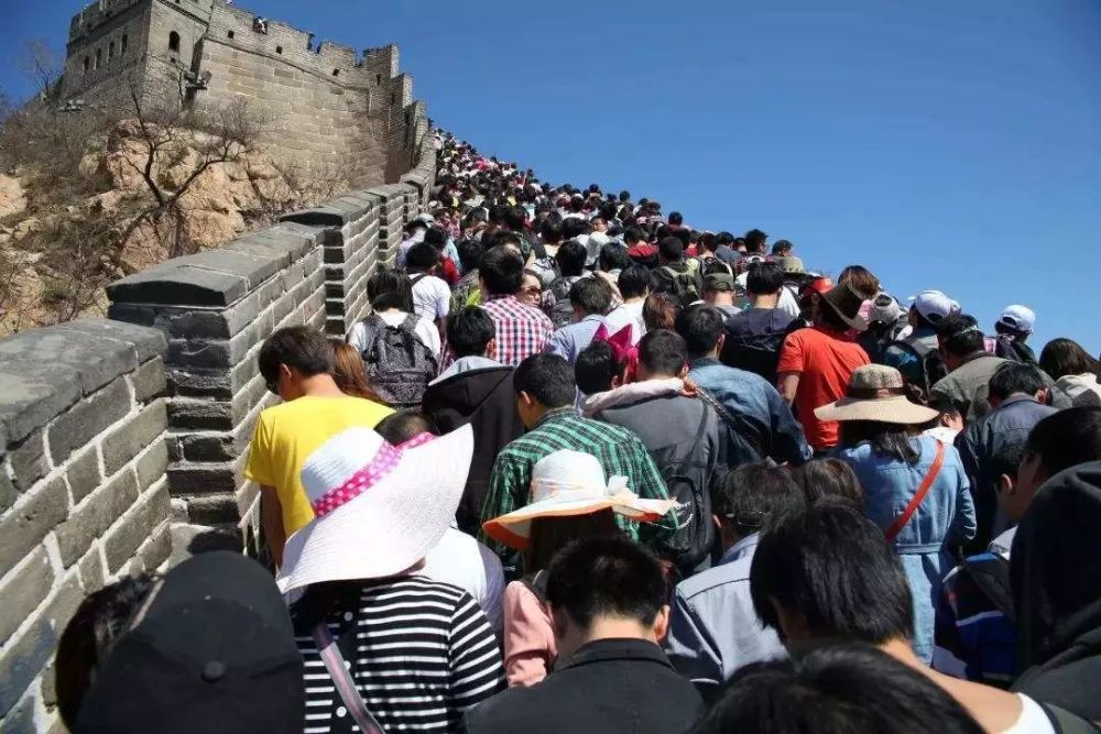 人口减半会_人口普查