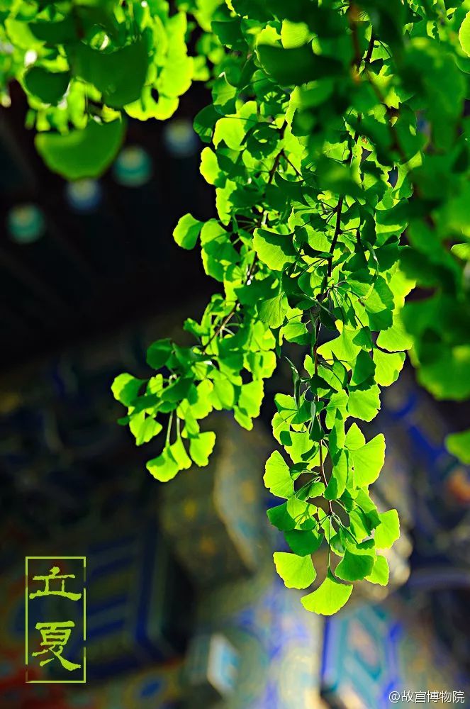 今年的立夏时间是