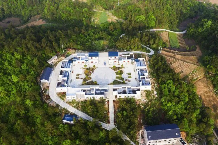 官岭镇人口_人口普查(3)
