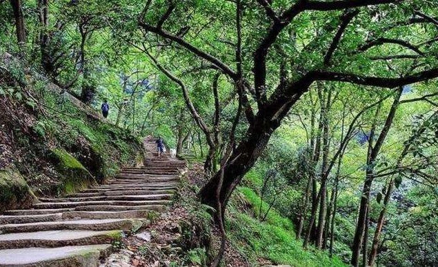 今天立夏在重庆度过夏天的正确姿势是什么