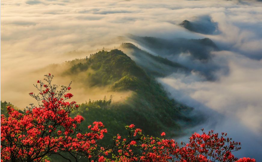 山花,云海,日出,星空,春游六安一定要来这儿打卡!