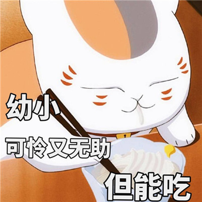 猫咪老师表情包:幼小可怜又无助,但能吃!