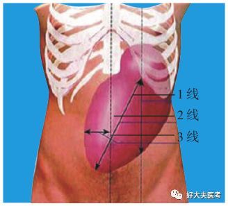 每日技能脾脏肾脏触诊检查方法得分标准