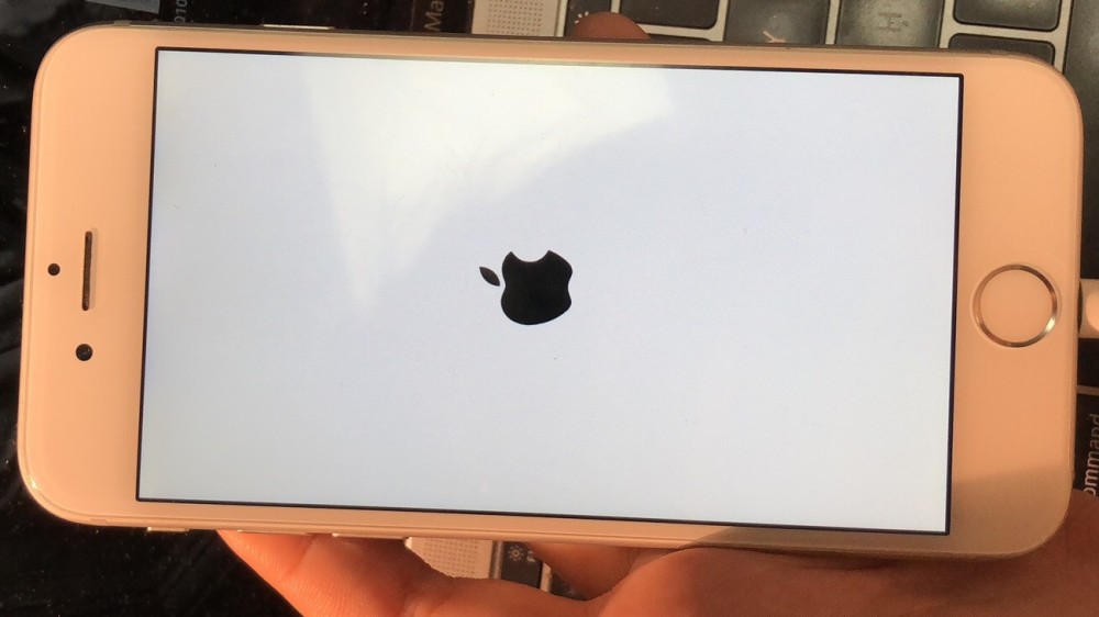 iphone白苹果是什么意思_白苹果和黑苹果什么意思_白苹果是什么意思