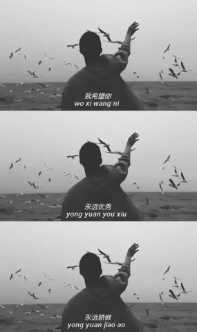 最近"安于现状"壁纸火了:多少人如我,终日惶恐又安于