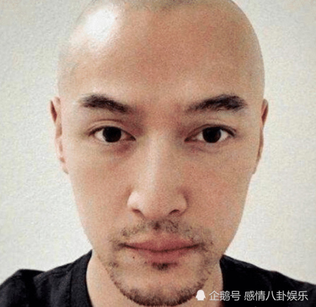 胡歌霍建华同是光头造型差别大,一个男人味十足, 一个