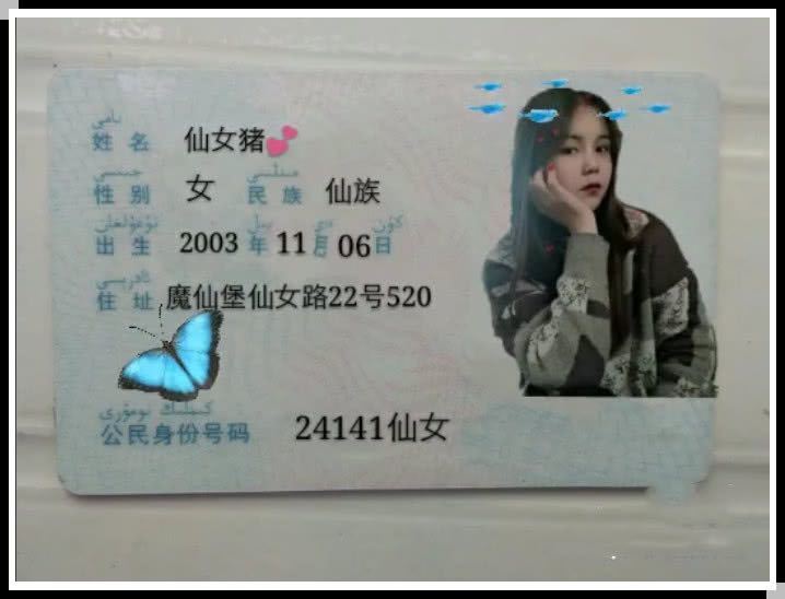 我们再来看看最后这个小仙女的身份象征天哪,这也太特别了吧,就连姓名