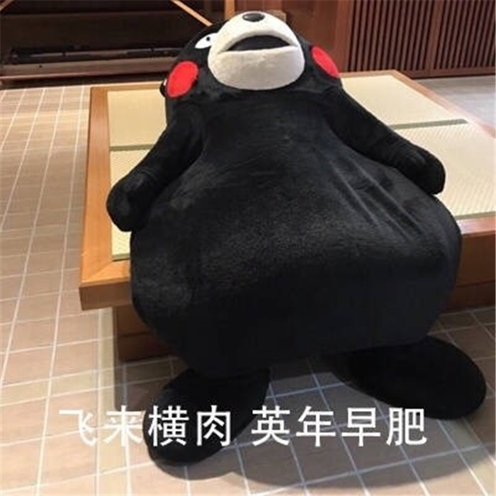 熊本熊搞笑表情包:学习是为了以后能偷懒,可是我很懒