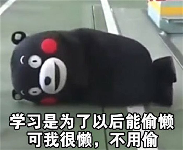 熊本熊搞笑表情包:学习是为了以后能偷懒,可是我很懒,不用偷