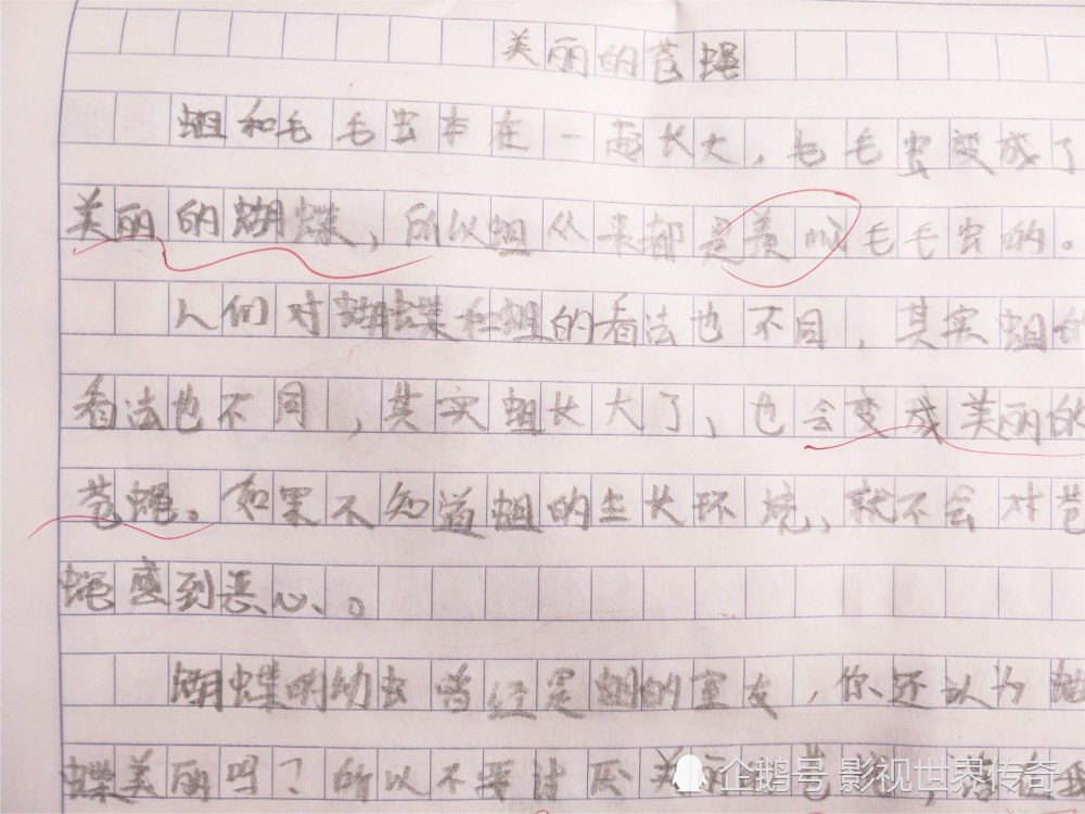 小学生作文《美丽的苍蝇》火得不行,不羡慕毛毛虫,老师被恶心到