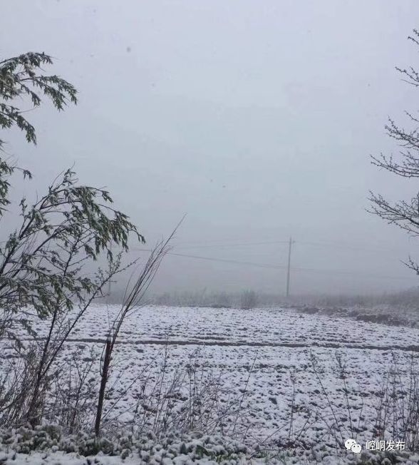 平凉多县区下雪!平凉人:要冻死在夏天!