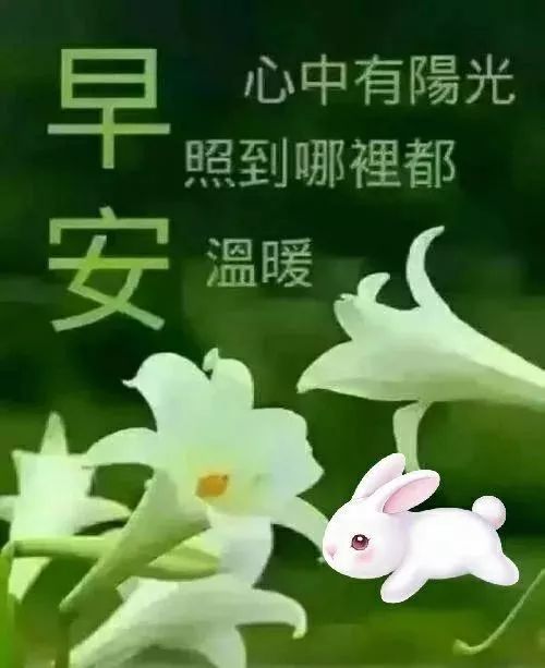 微信最美早上好祝福动图说说特别漂亮的早上好温馨问候祝福语表情图片