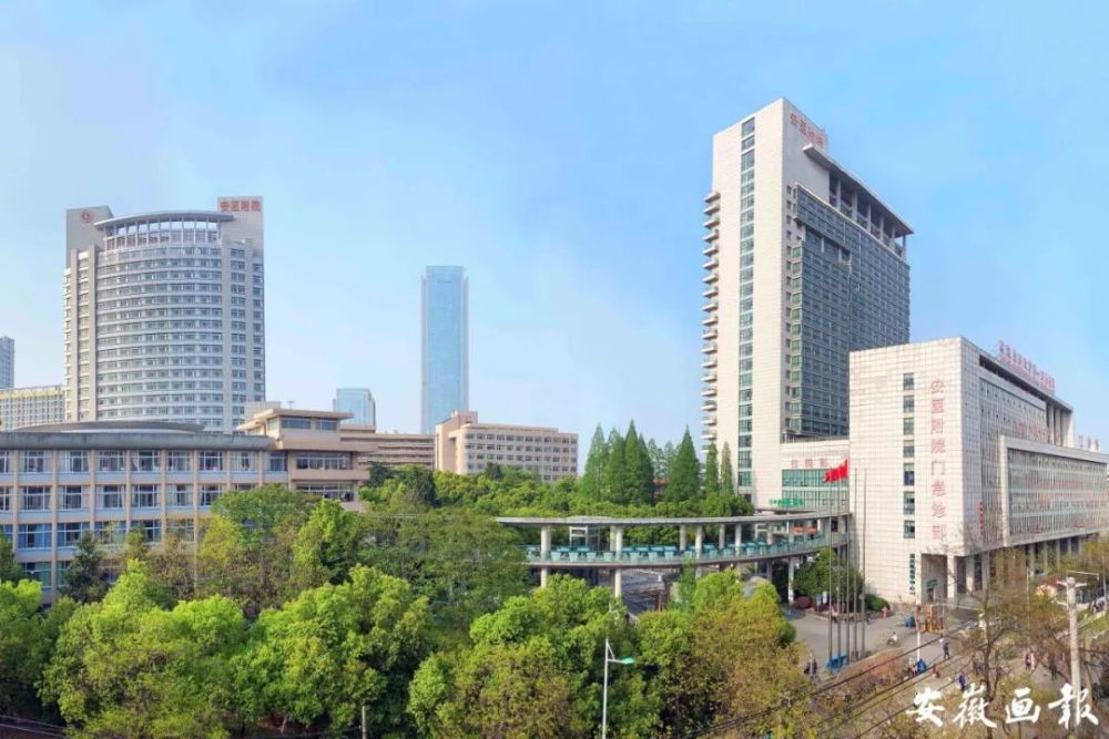 安徽医科大学第一附属医院绩溪路院区