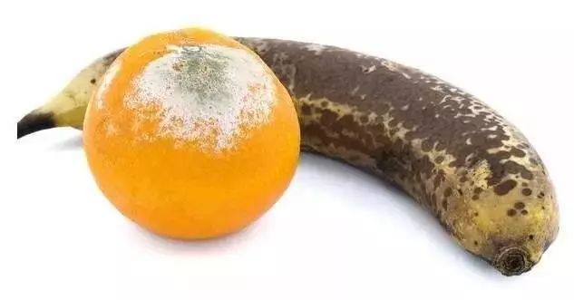 1,腐烂变质的水果