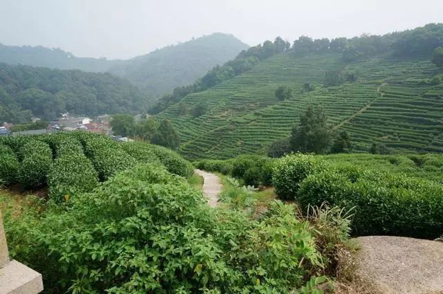 人间天堂处处是美景,浙江十大最美小众旅游地盘点 