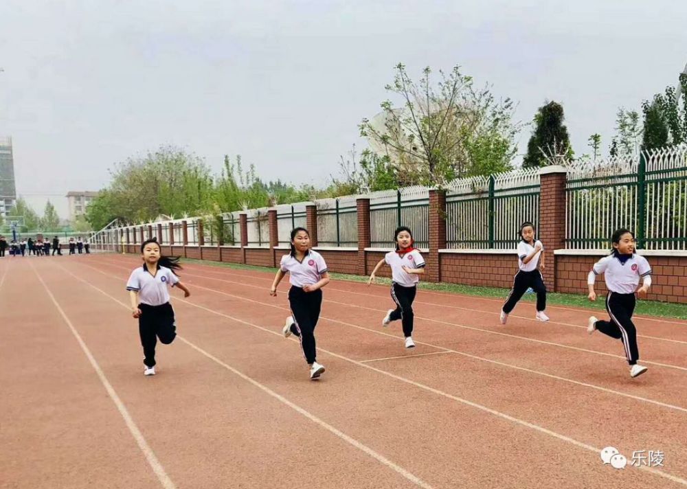乐陵市阜平小学举行"运动伴我健康成长"校园运动会