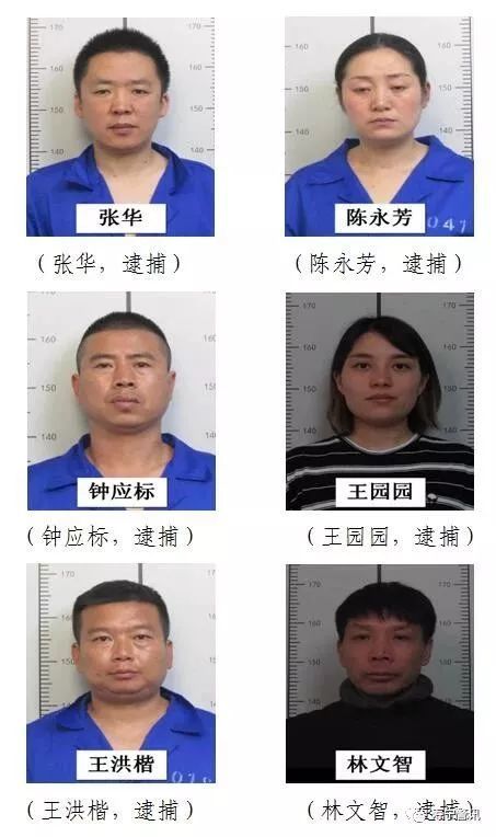 寿宁县公安局关于检举张华等人涉嫌违法犯罪线索的通告