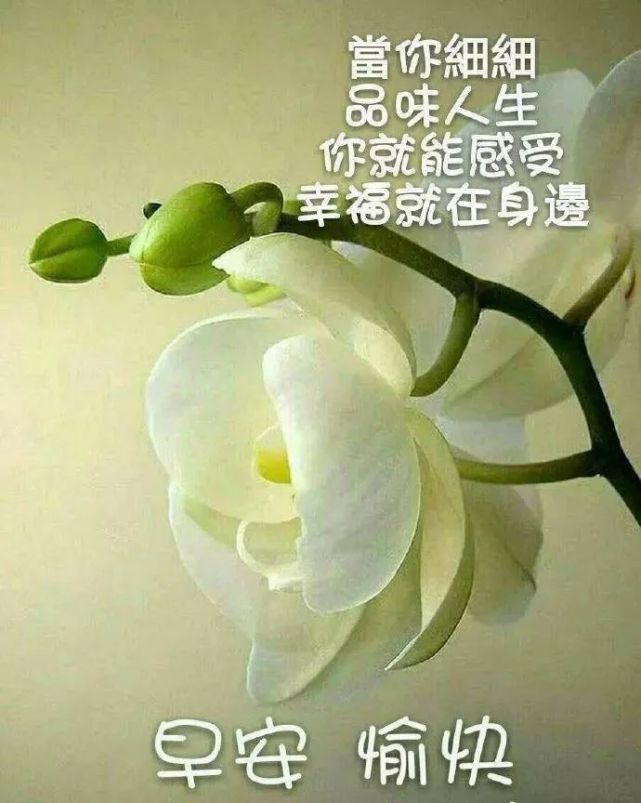 微信最美早上好浪漫温馨祝福语,朋友圈最新版浪漫表情