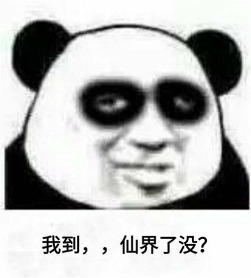 熊猫头爆笑表情包:你可真skr小机灵鬼儿