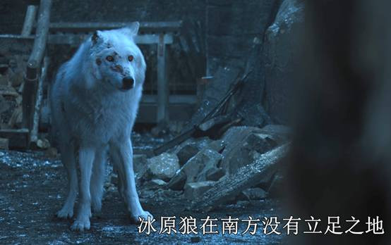 《权力的游戏》白灵心酸遭遇惹争议!澳洲警察开怼雪诺!