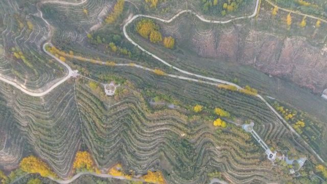 最穷的省会gdp