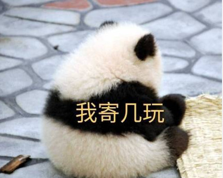 超可爱的"国宝"熊猫表情包:这是什么人间疾苦,热到融化了!