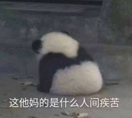 超可爱的"国宝"熊猫表情包:这是什么人间疾苦,热到融化了!