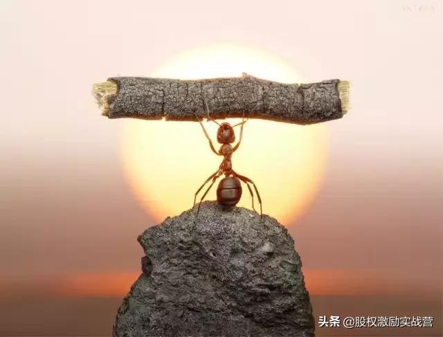 砍柴的陪不住放羊的，请放弃你的无效社交！深度好文