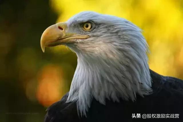 砍柴的陪不住放羊的，请放弃你的无效社交！深度好文