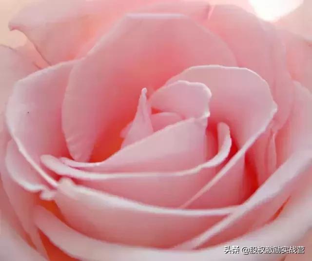 砍柴的陪不住放羊的，请放弃你的无效社交！深度好文