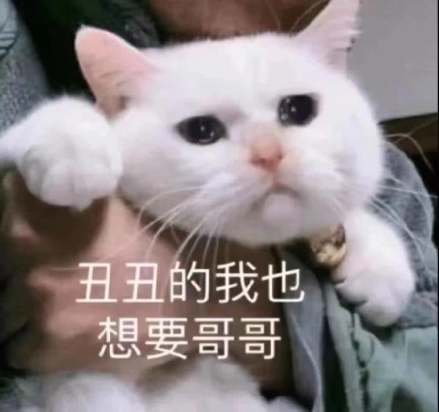 太low了,试试这波甜甜表情包,撩