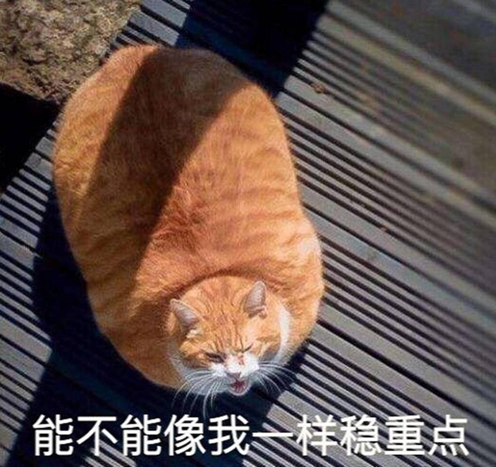 非常搞笑"橘猫"的表情:能不能像我一样稳重点?